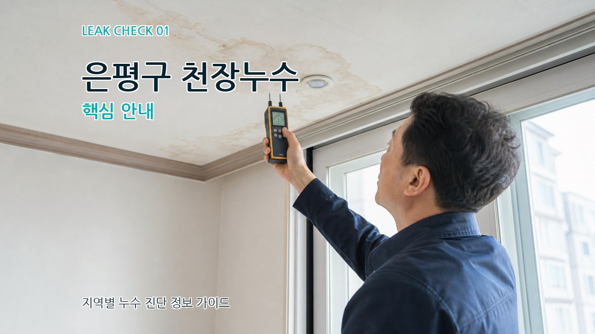 은평구 천장누수